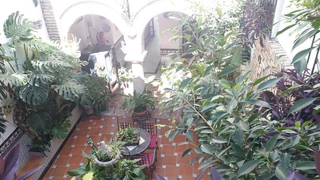 Pension Los Arcos قرطبة المظهر الخارجي الصورة