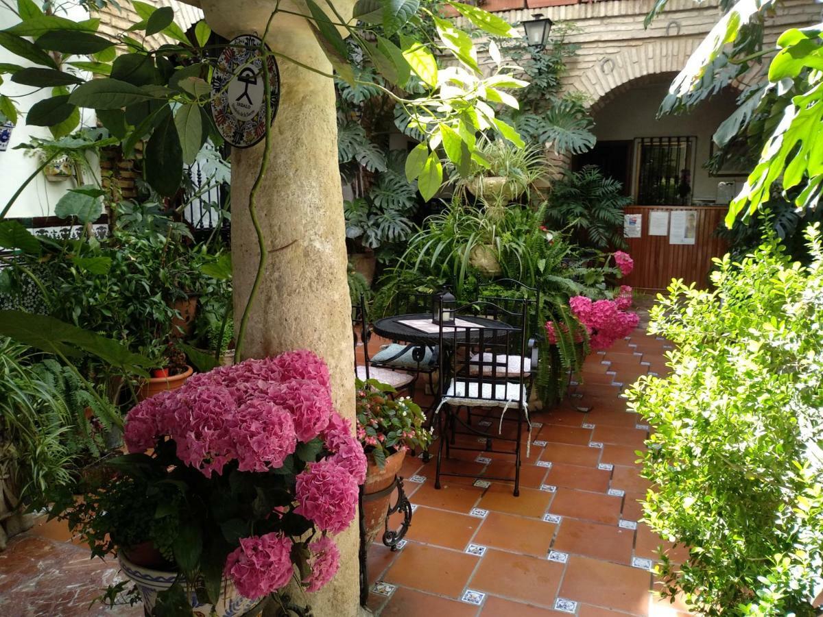 Pension Los Arcos قرطبة المظهر الخارجي الصورة