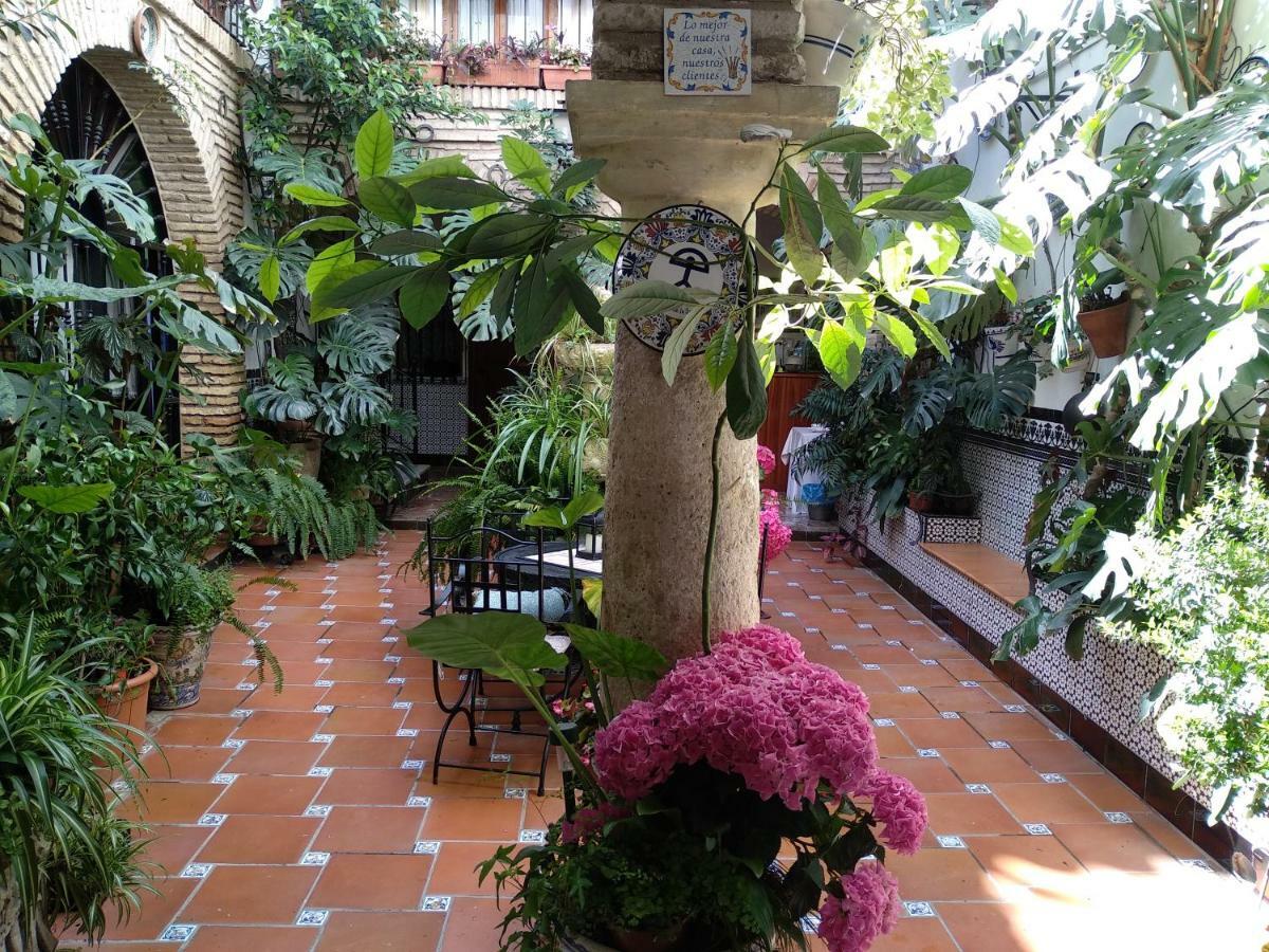 Pension Los Arcos قرطبة المظهر الخارجي الصورة