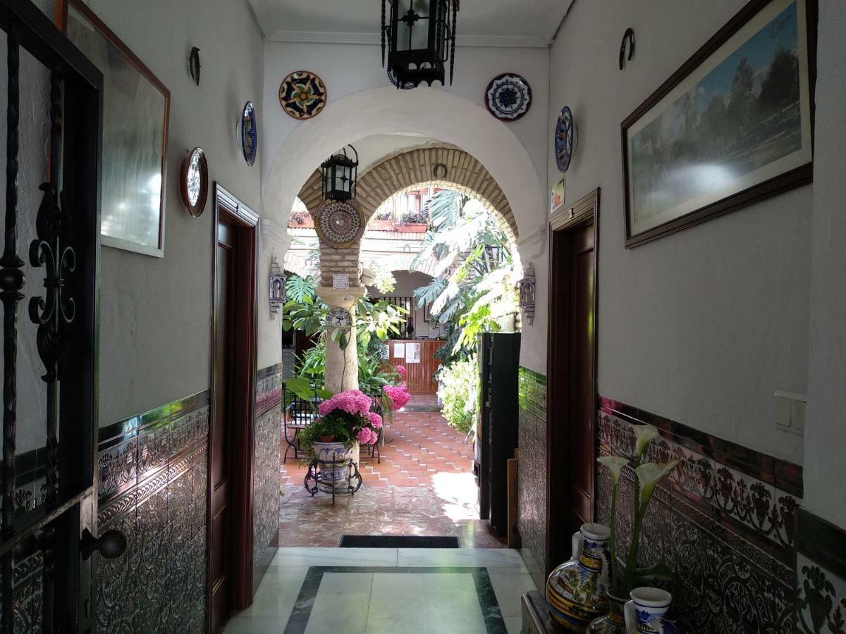 Pension Los Arcos قرطبة المظهر الخارجي الصورة