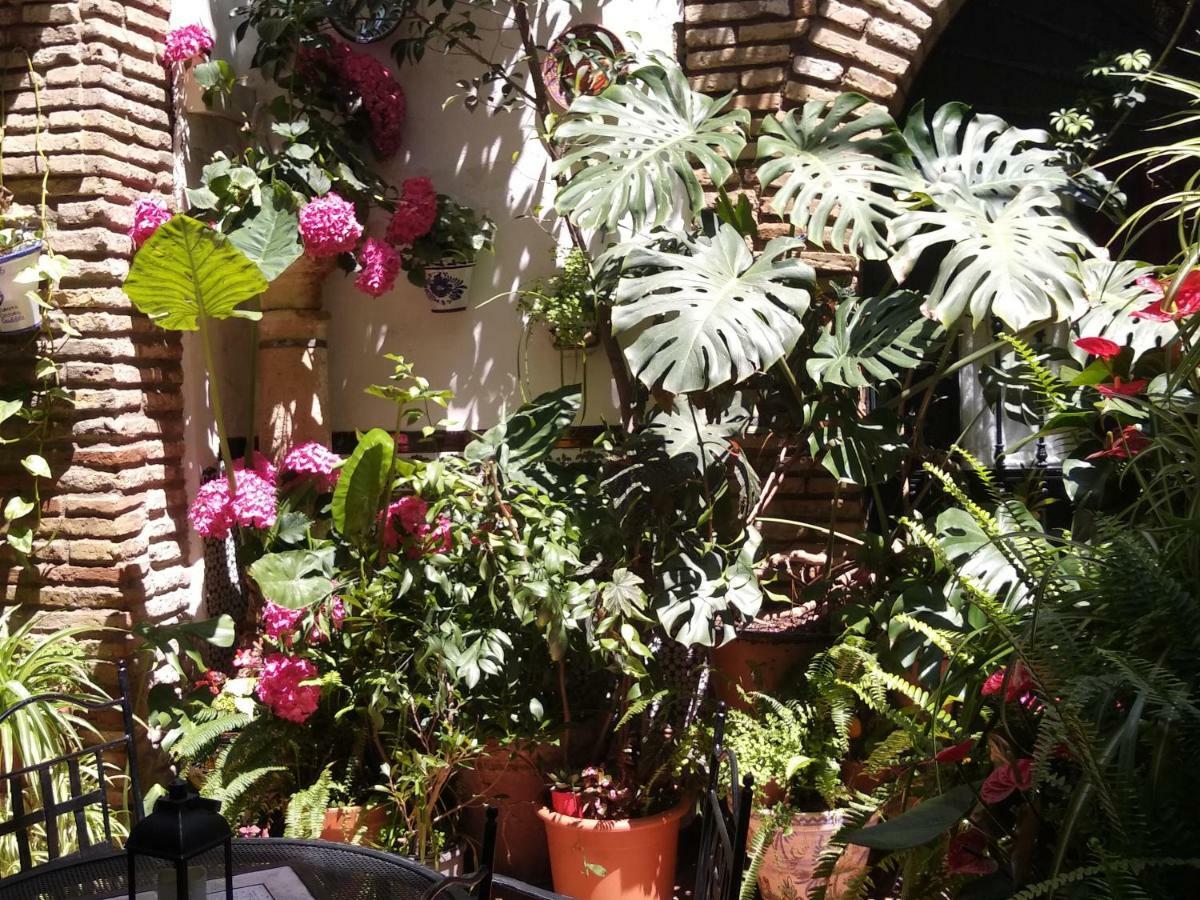 Pension Los Arcos قرطبة المظهر الخارجي الصورة